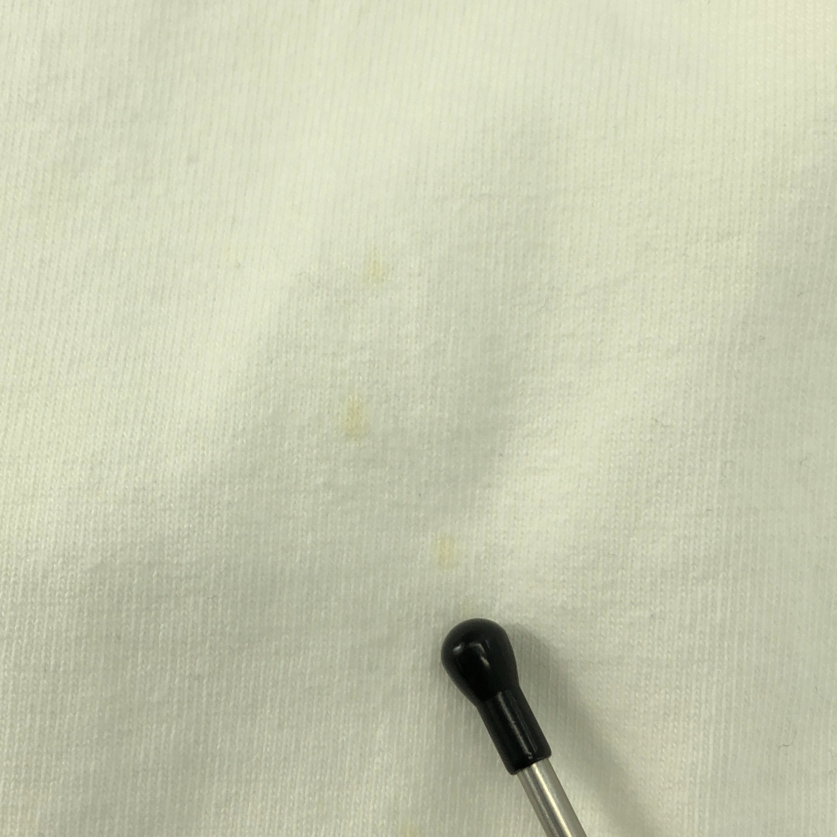 JIL SANDER / ジルサンダー コットン ロゴ プリント Tシャツ