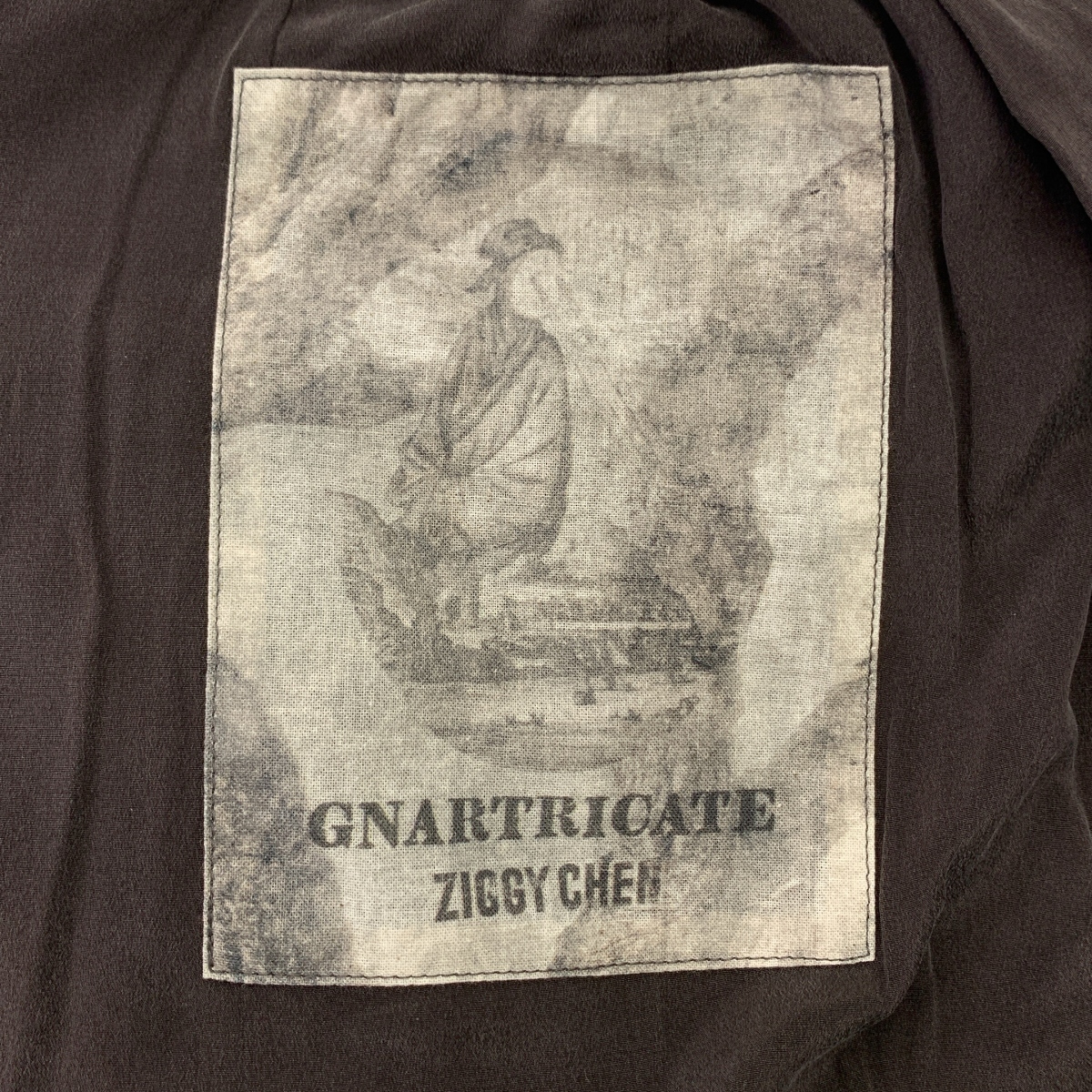 ziggy chen / ジギーチェン Digital Print Wide Leg Trousers / 総柄 タック ワイドパンツ