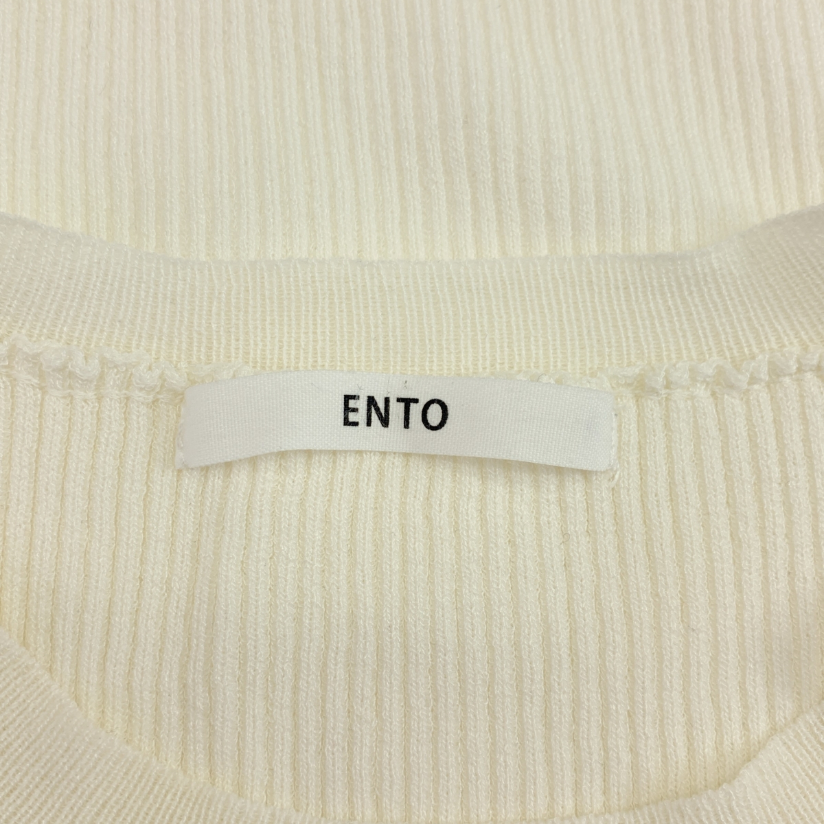 ENTO / エント レーヨン シアーレイヤードスリーブニット