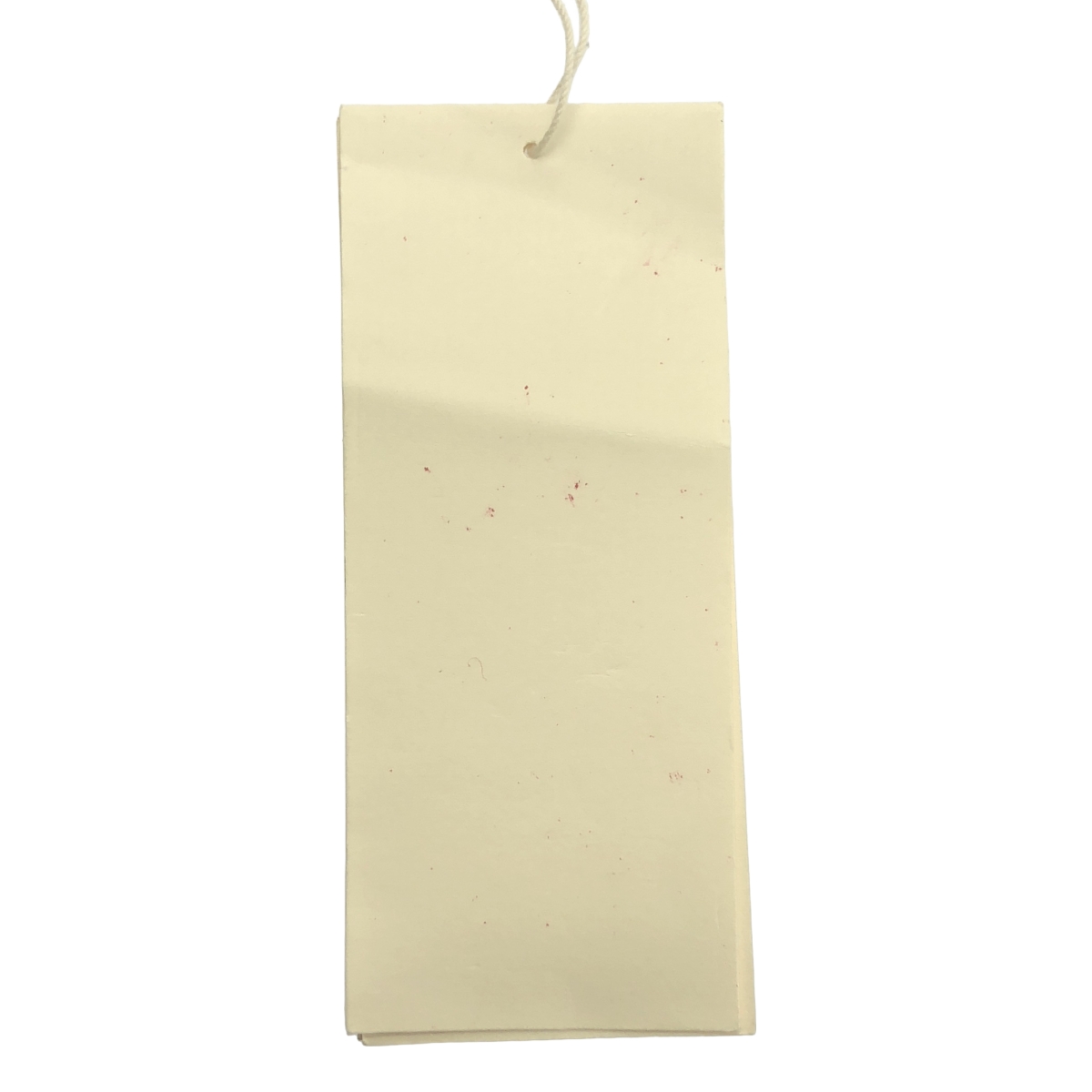 suzuki takayuki / スズキタカユキ over blouse リネン フレアシャツ