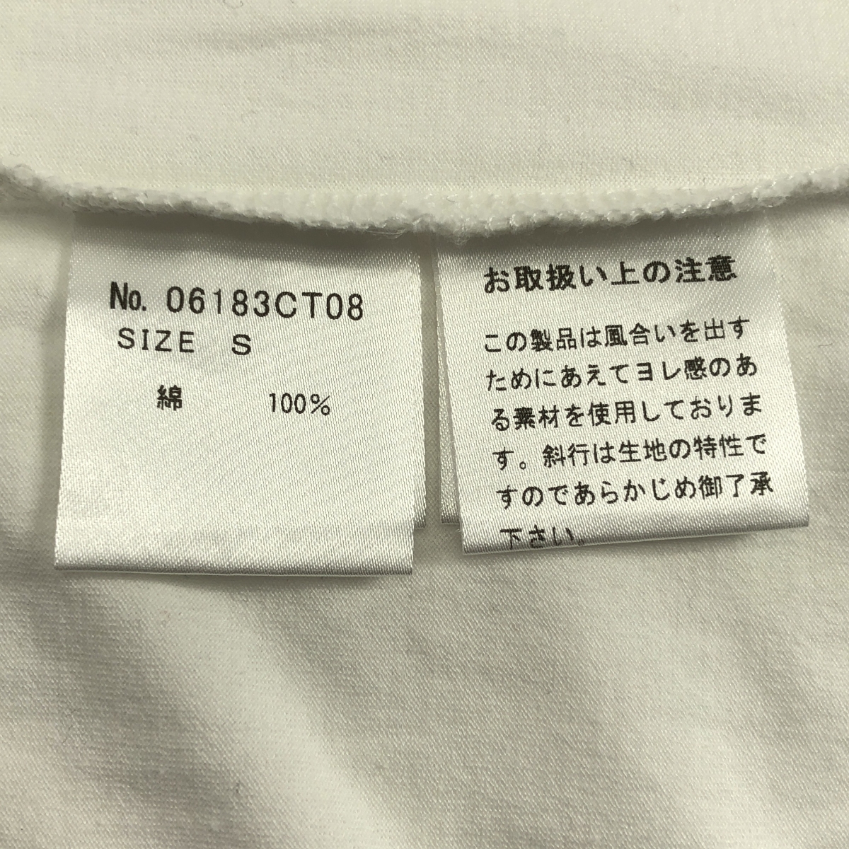 THEE HYSTERIC XXX / ジィヒステリックトリプルエックス the GHOST WOLVES プリント Tシャツ