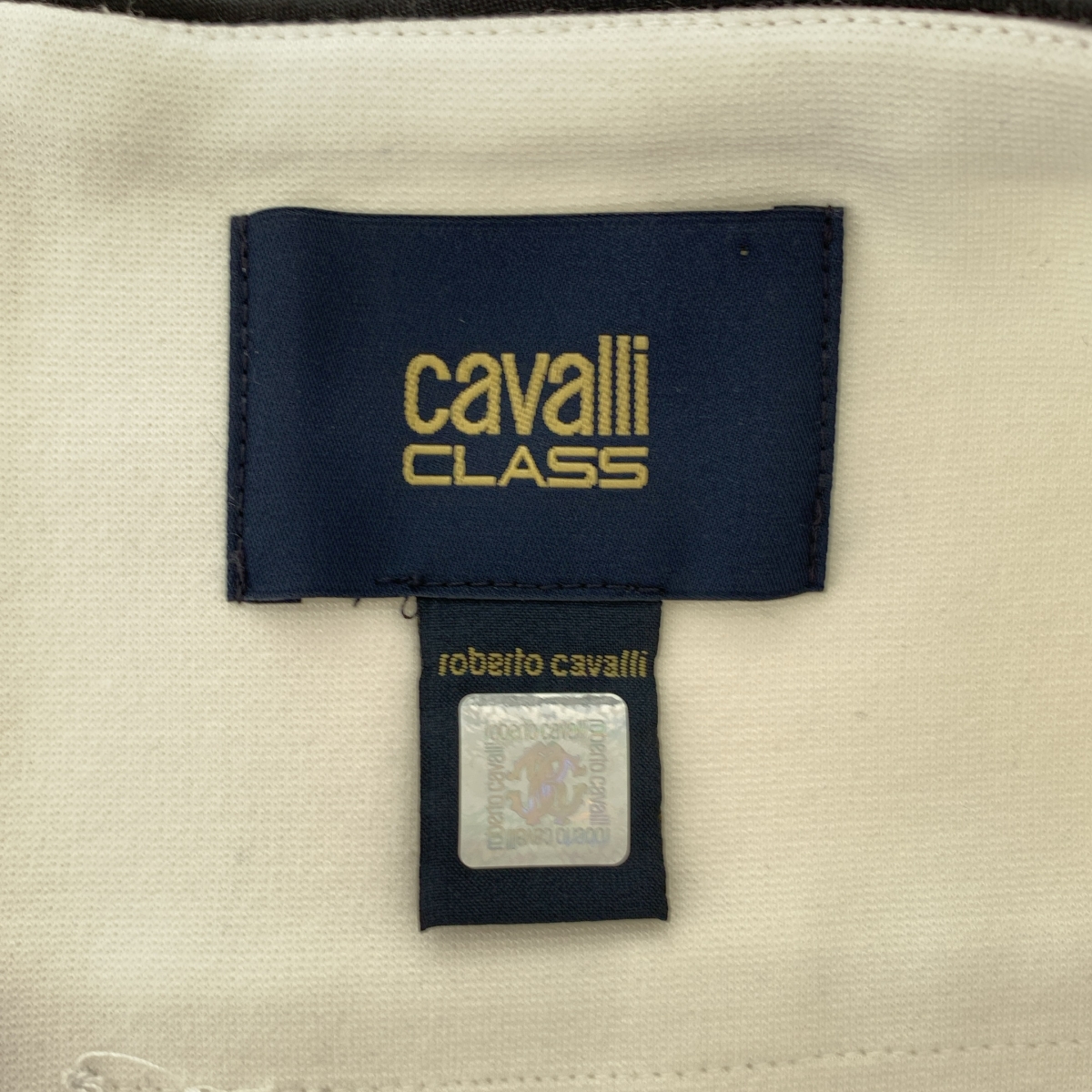 roberto cavalli / ロベルトカヴァリ フリル装飾 ロゴプレート バックジップ スカート