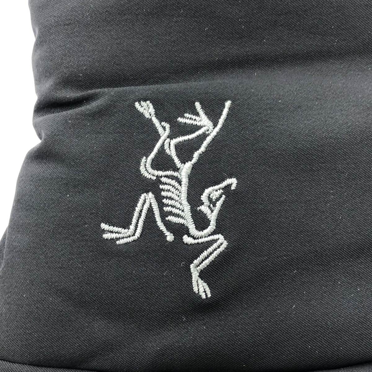 ARC'TERYX / アークテリクス GORE-TEX FISSION SV MITTEN / ゴアテックス レザーコンビ フィション SV ミトン