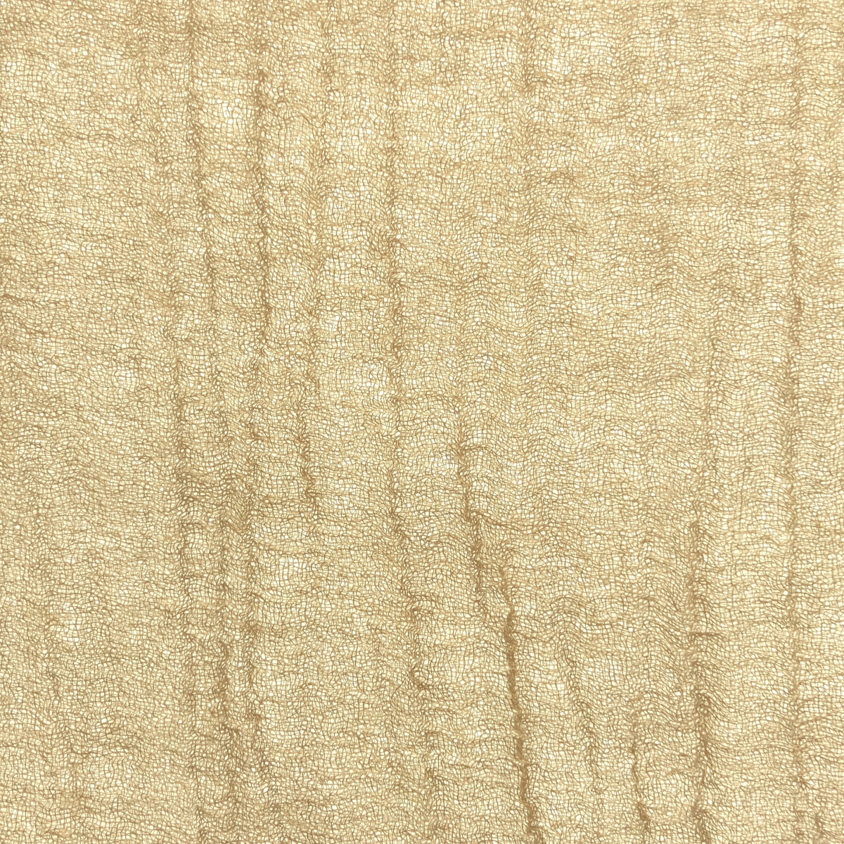 DANIELA GREGIS / ダニエラグレジス cashmere 100％ / カシミヤ 大判 ストール マフラー / ユニセックス