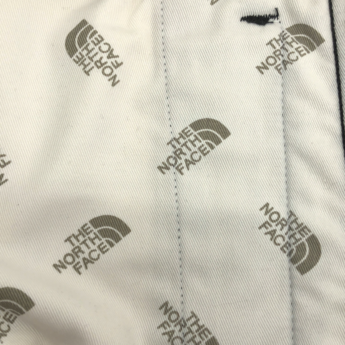 THE NORTH FACE PURPLE LABEL / ザノースフェイスパープルレーベル Polyester Flannel Field Pants / NT5966N フランネル フィールドパンツ