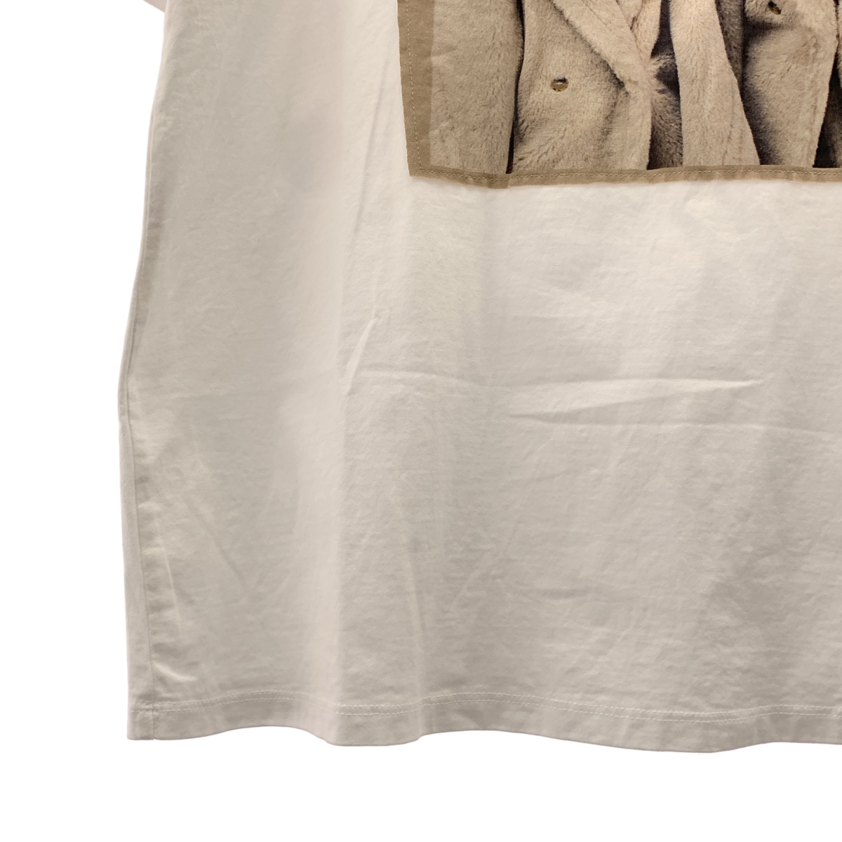 Max Mara / マックスマーラ TACCO ウェグマンプリント Tシャツ カットソー