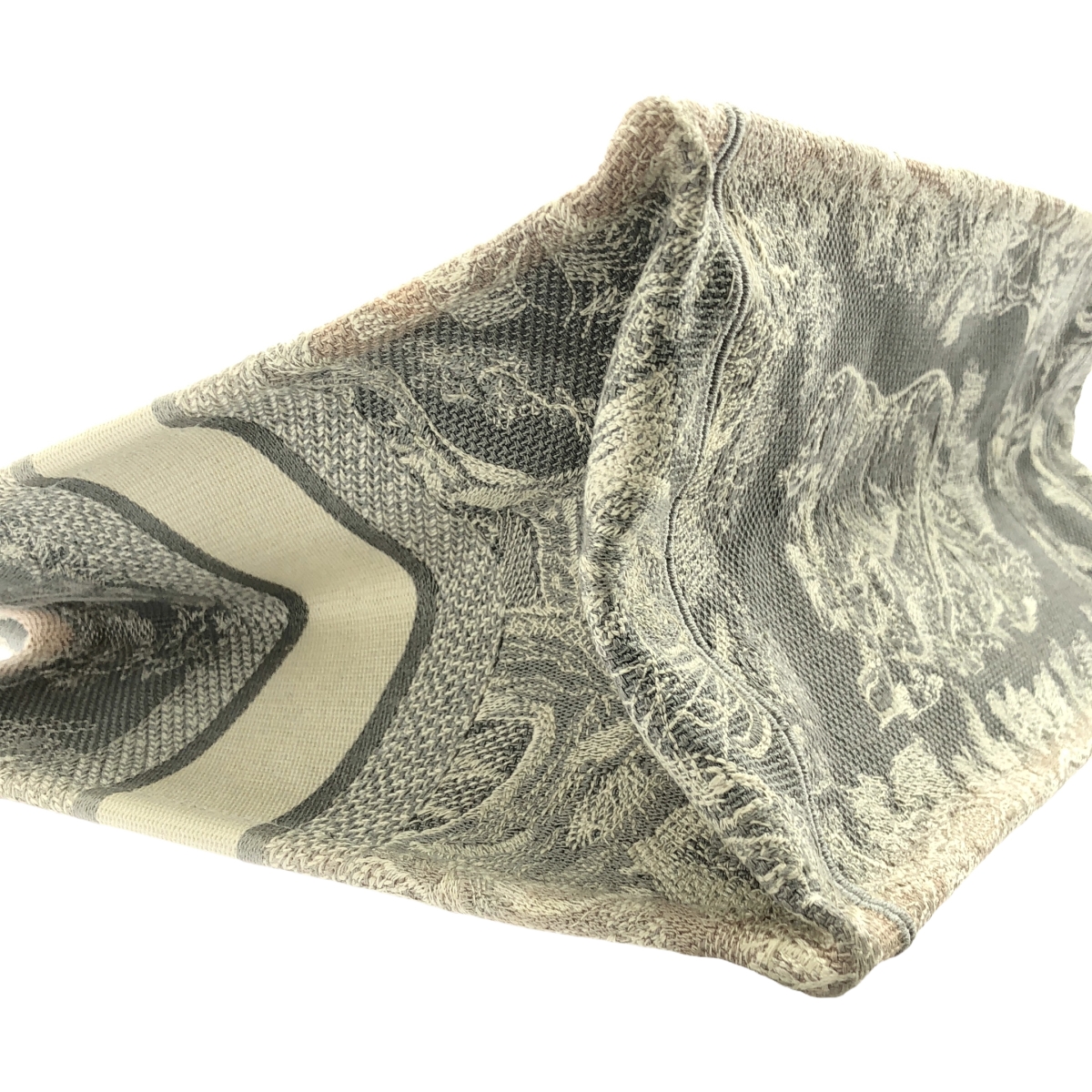 Christian Dior / クリスチャンディオール トワル ドゥ ジュイ リバース ブックトートバッグ ミディアム キャンバス