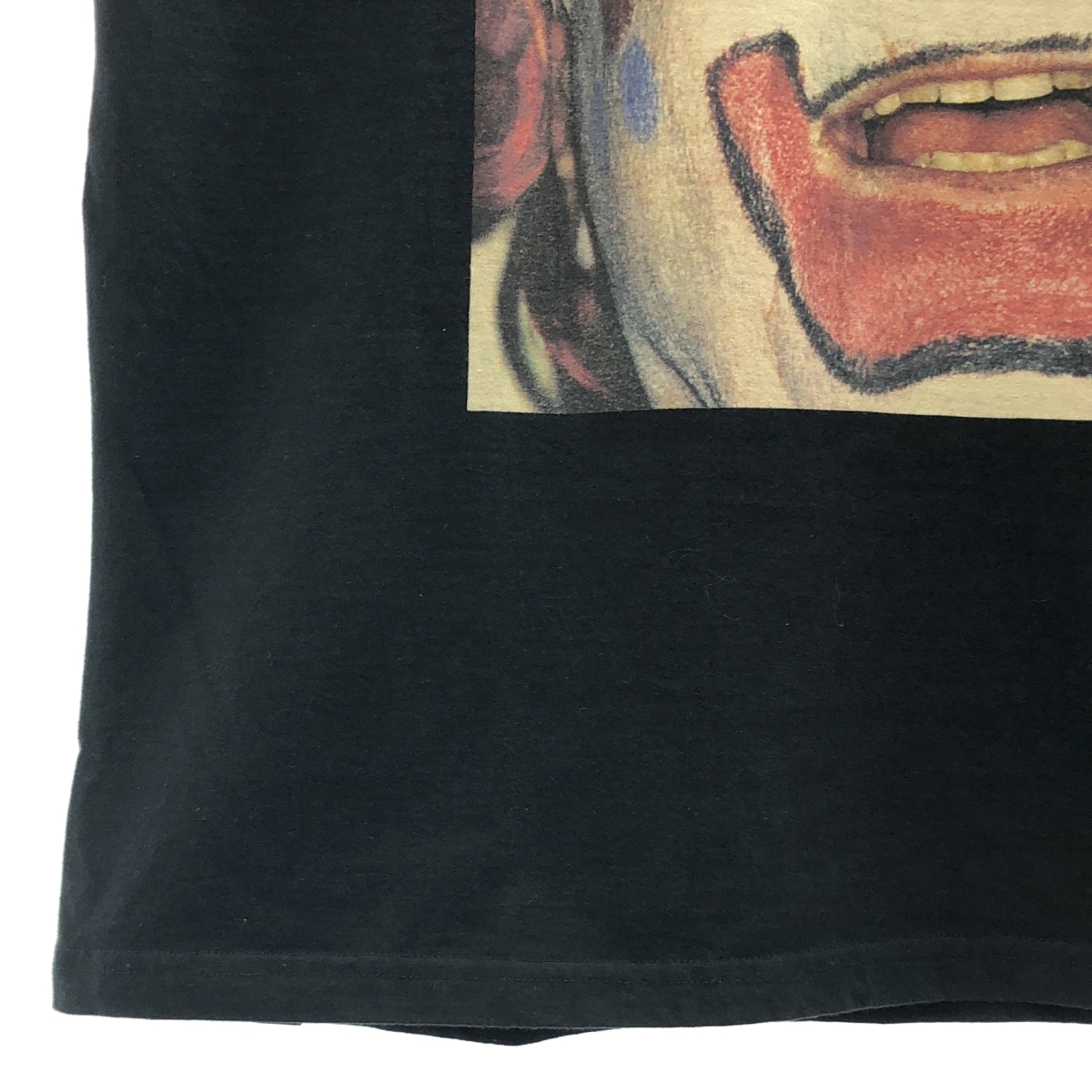 HYSTERIC GLAMOUR / ヒステリックグラマー TERRY RICHARDSON プリント クルーネック カットソー