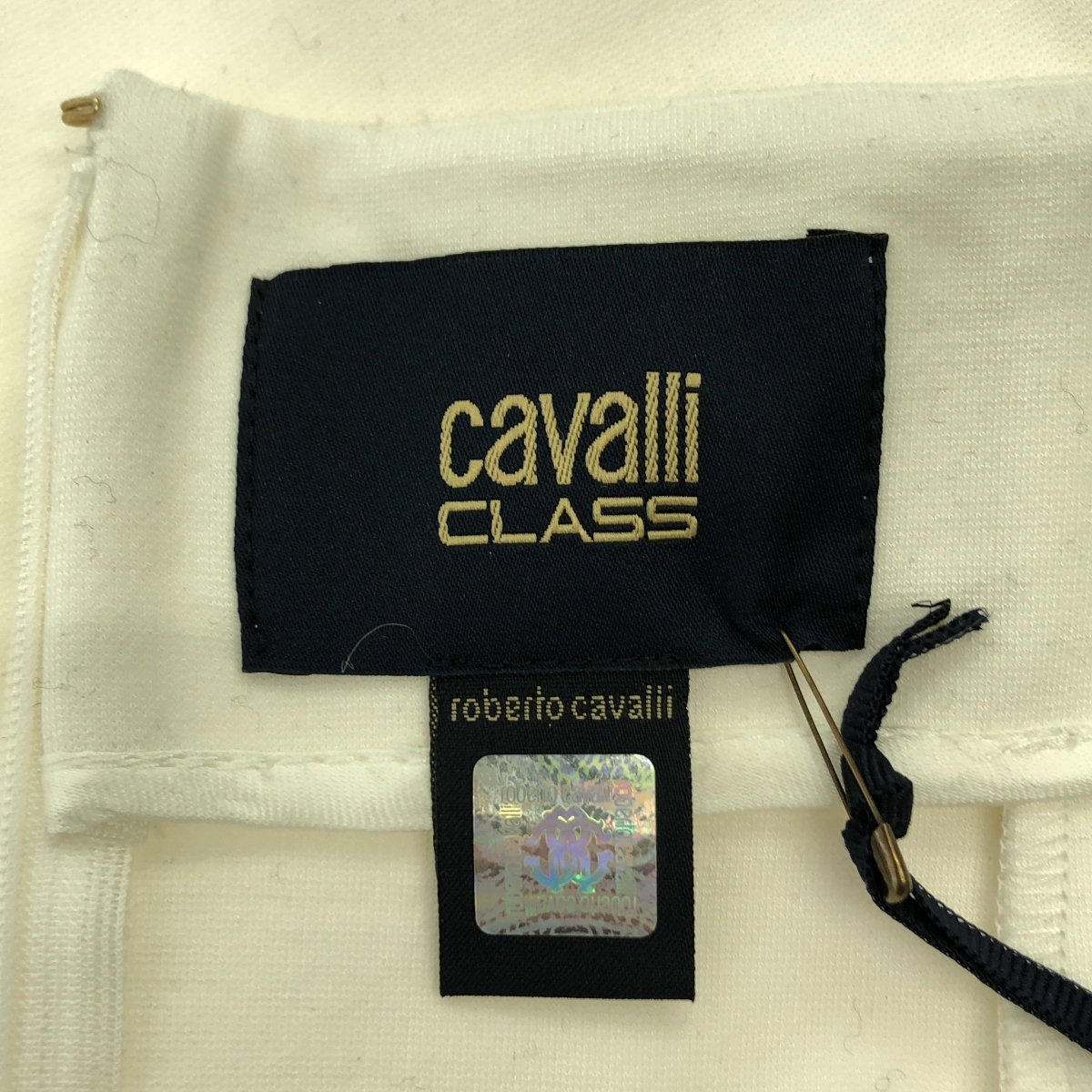 roberto cavalli / ロベルトカヴァリ タイガーヘッド ビジュー装飾 ストレッチ バックジップ スカート