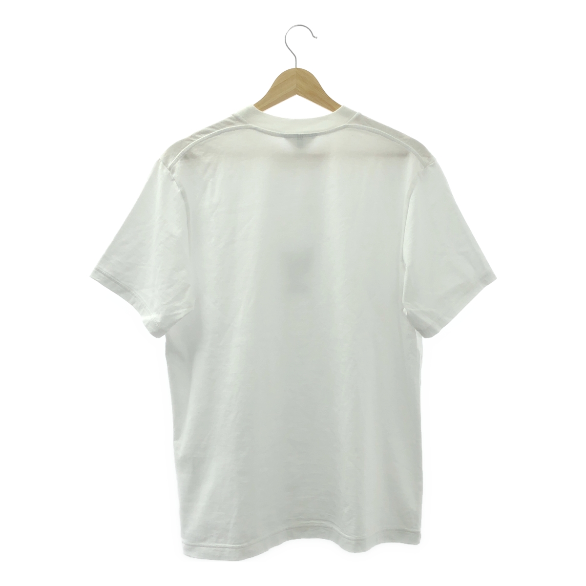 mina perhonen / ミナペルホネン katamuita tamago to / egg stand / プリント オーバー Tシャツ カットソー