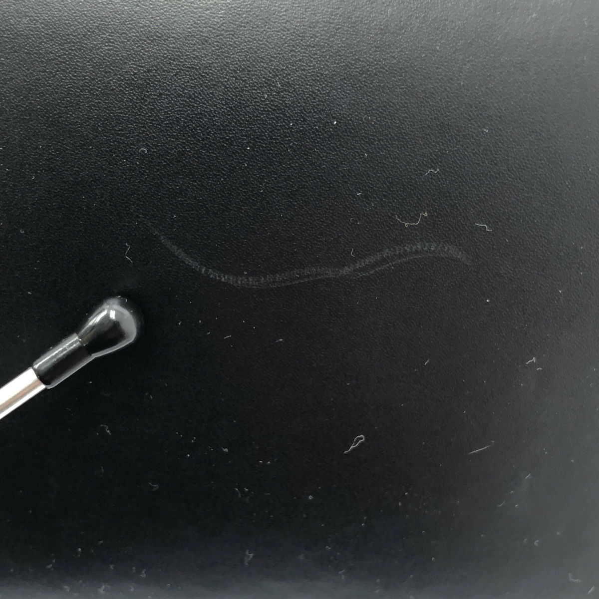 その他 Pacoio パコイオ / レザー トートバッグ