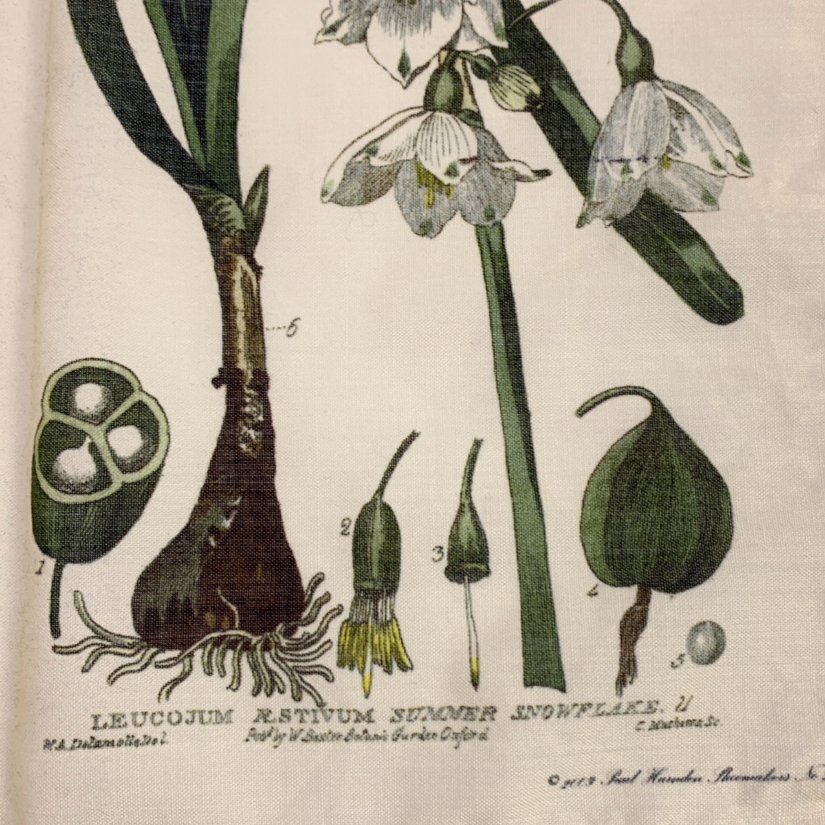 Paul Harnden / ポールハーデン flower Scarf / 総柄 フラワー スカーフ ストール / ユニセックス