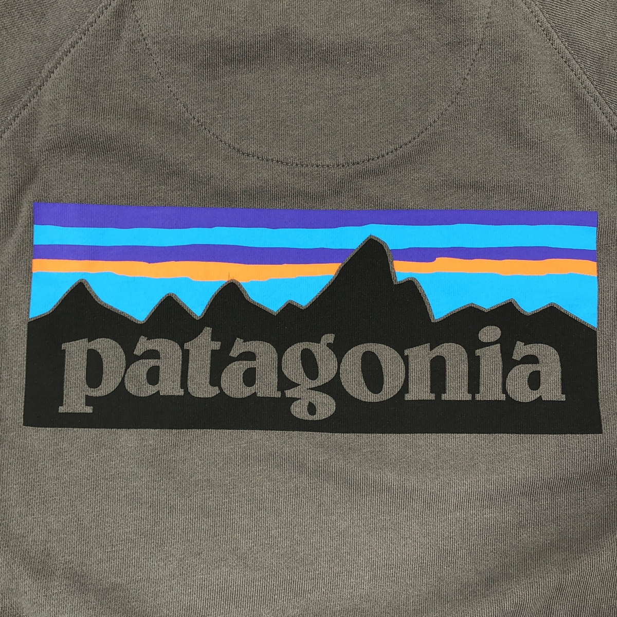Patagonia / パタゴニア コットン ロゴプリント スウェット