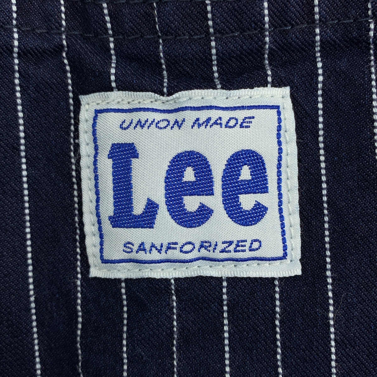 Lee / リー DUNGAREES ストライプ ワイド ペインターパンツ