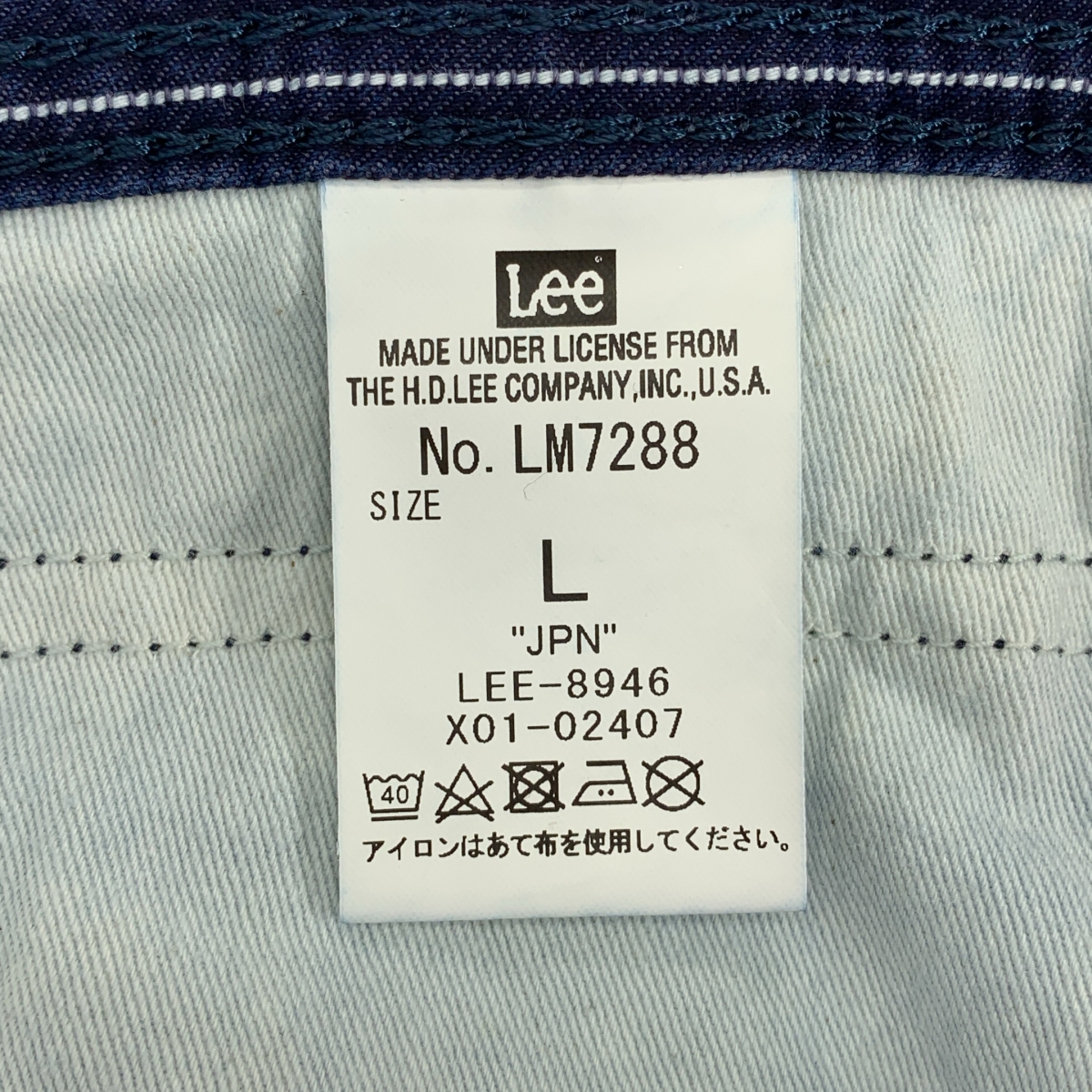 Lee / リー DUNGAREES ストライプ ワイド ペインターパンツ