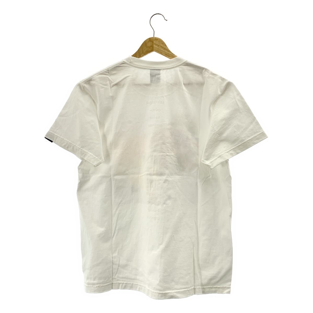 APPLEBUM / アップルバム × RYUSUKE SANO アートプリントTシャツ