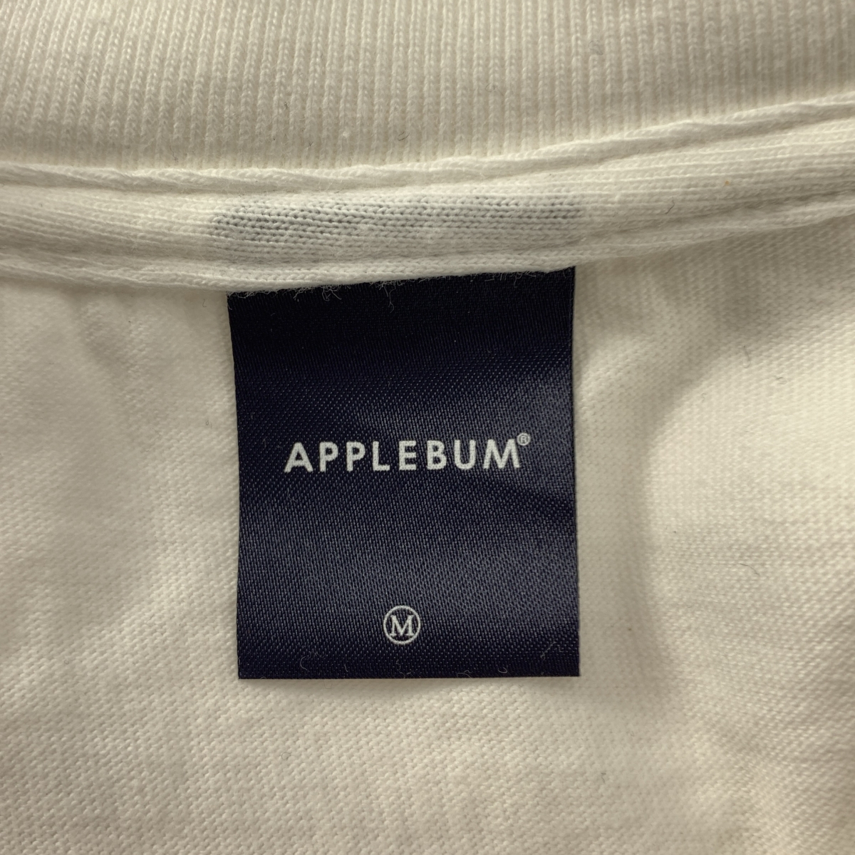 APPLEBUM / アップルバム × RYUSUKE SANO アートプリントTシャツ