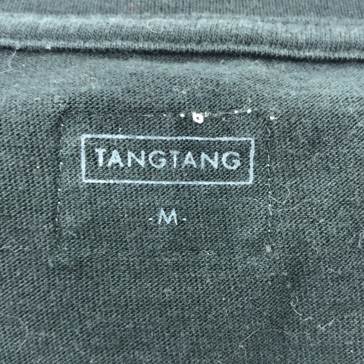 TANGTANG / タンタン I HEARD YOU LOOKING TEE 半袖 コットン Tシャツ