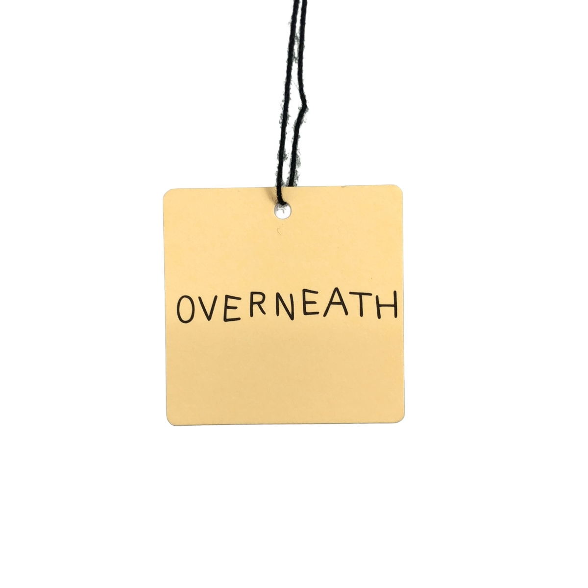 その他 チュール クルーネック Tシャツ カットソー