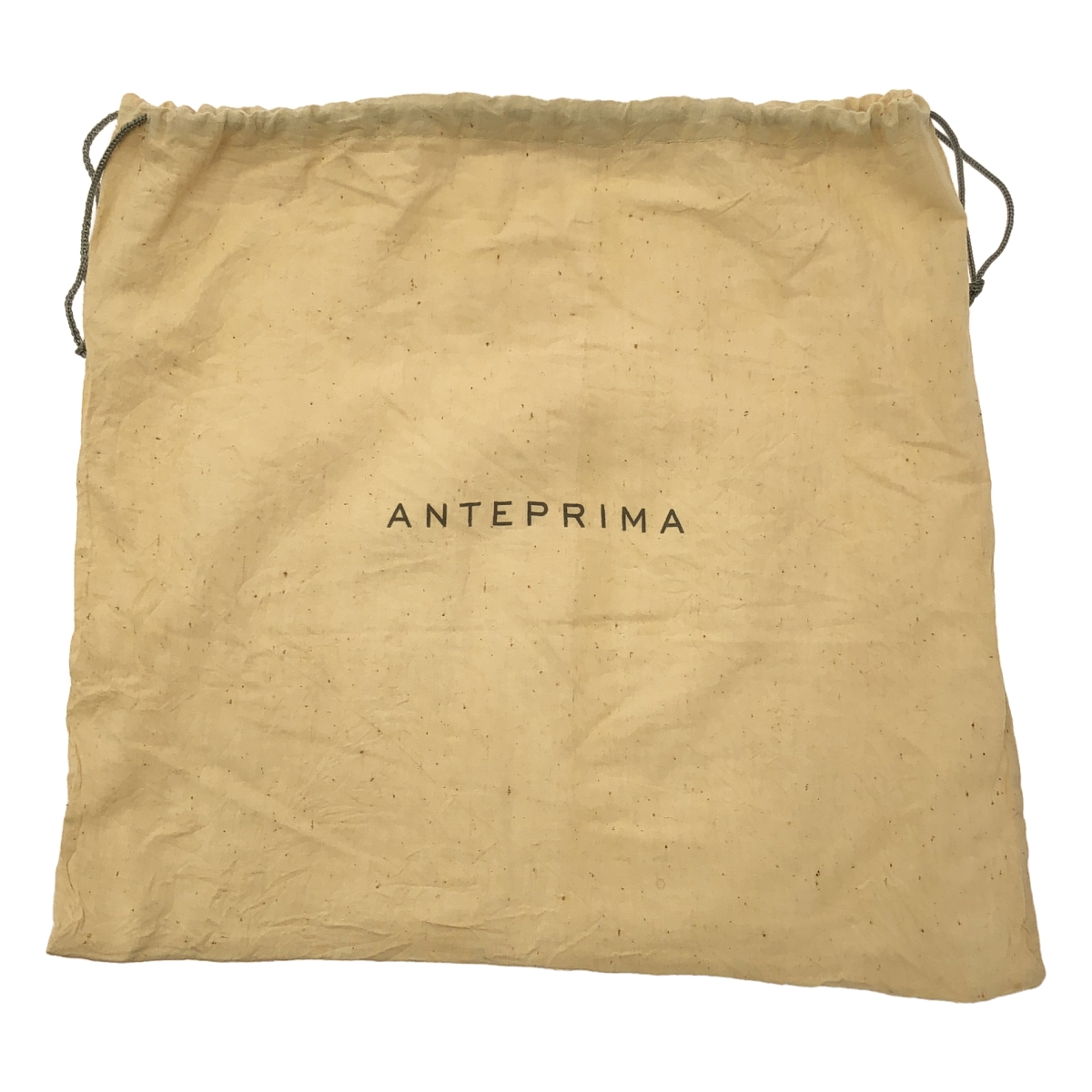 ANTEPRIMA / アンテプリマ ダイナソー ワイヤー ハンドバッグ