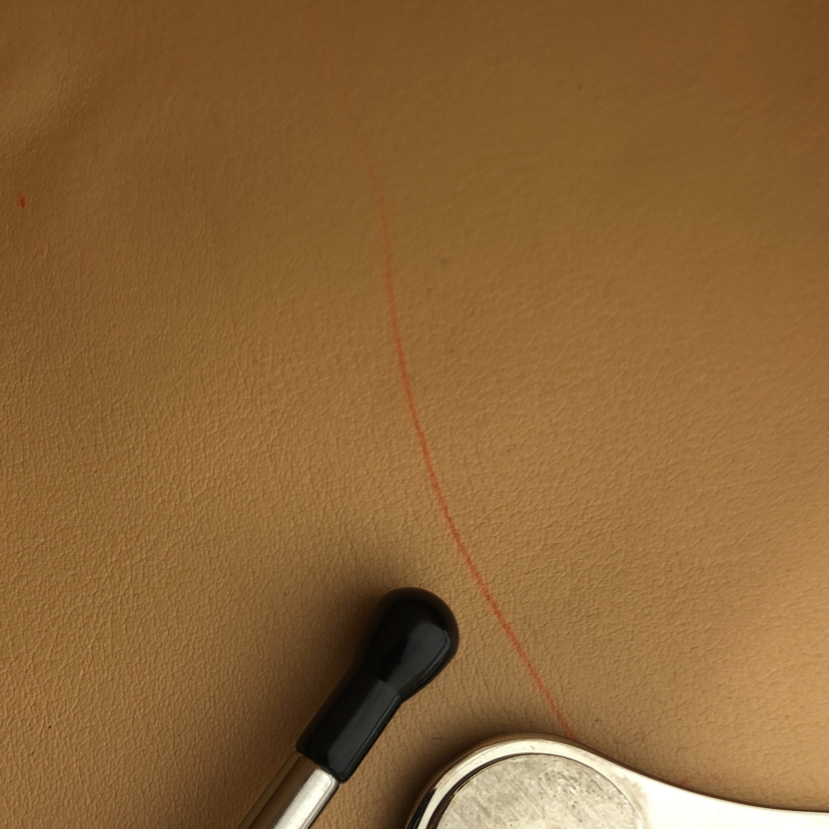 N°21 / ヌメロヴェントゥーノ パイソン エンボスレザー トートバッグ