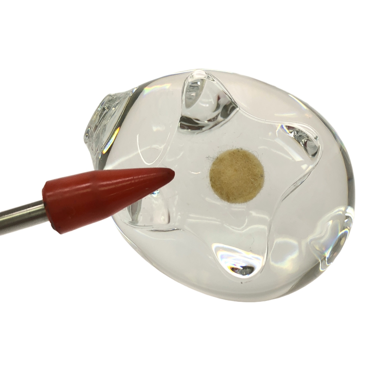 その他 クリスタル フィギュア 豚 アニマル コレクション