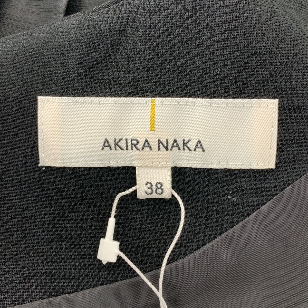 AKIRANAKA / アキラナカ プリーツ スリーブ プルオーバー ワンピース