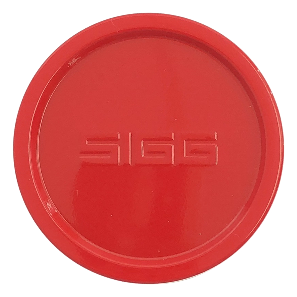 SUPREME / シュプリーム SIGG / Vacuum Insulated 0.75L Bottle 水筒