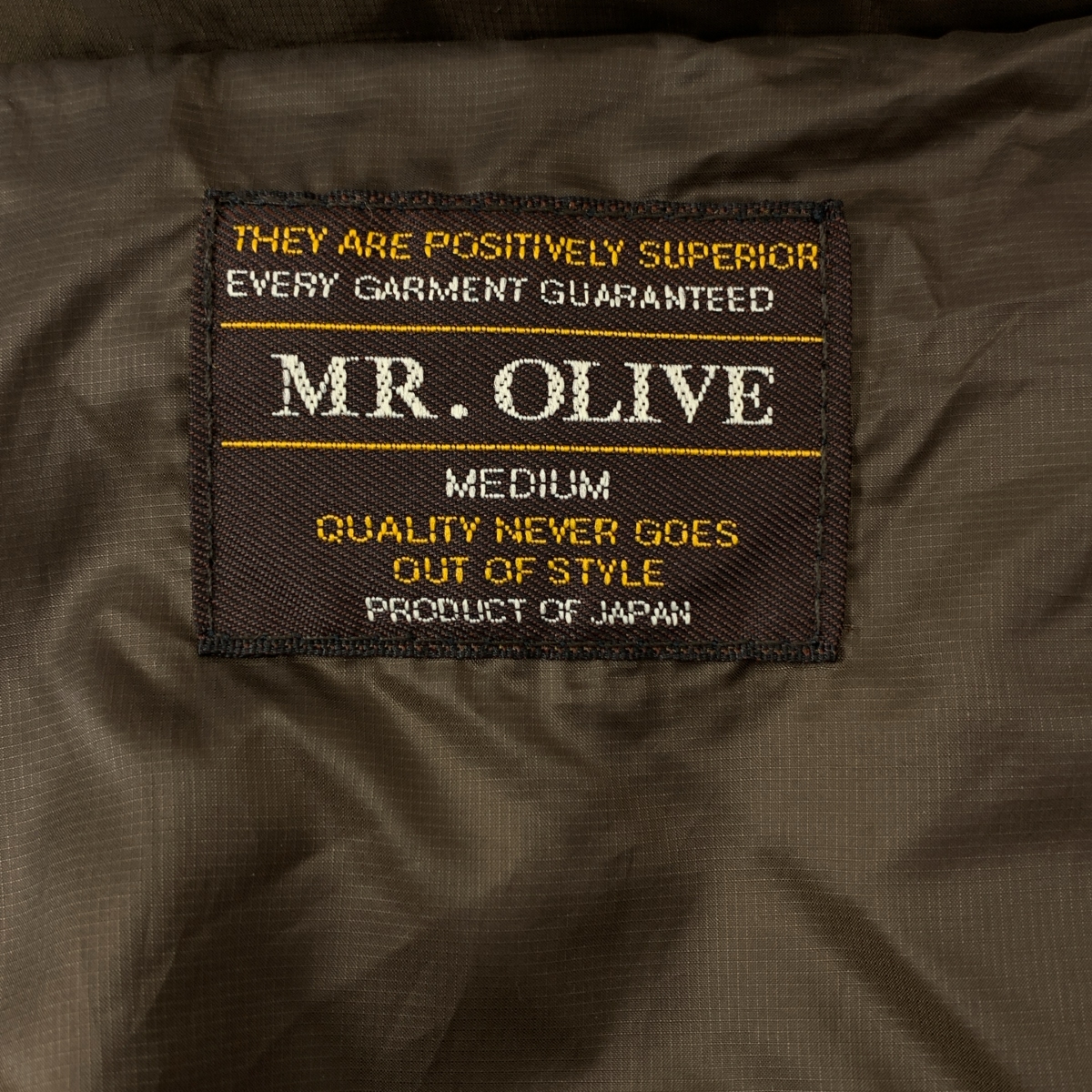 MR.OLIVE / ミスターオリーブ ダウンジャケット フーディ