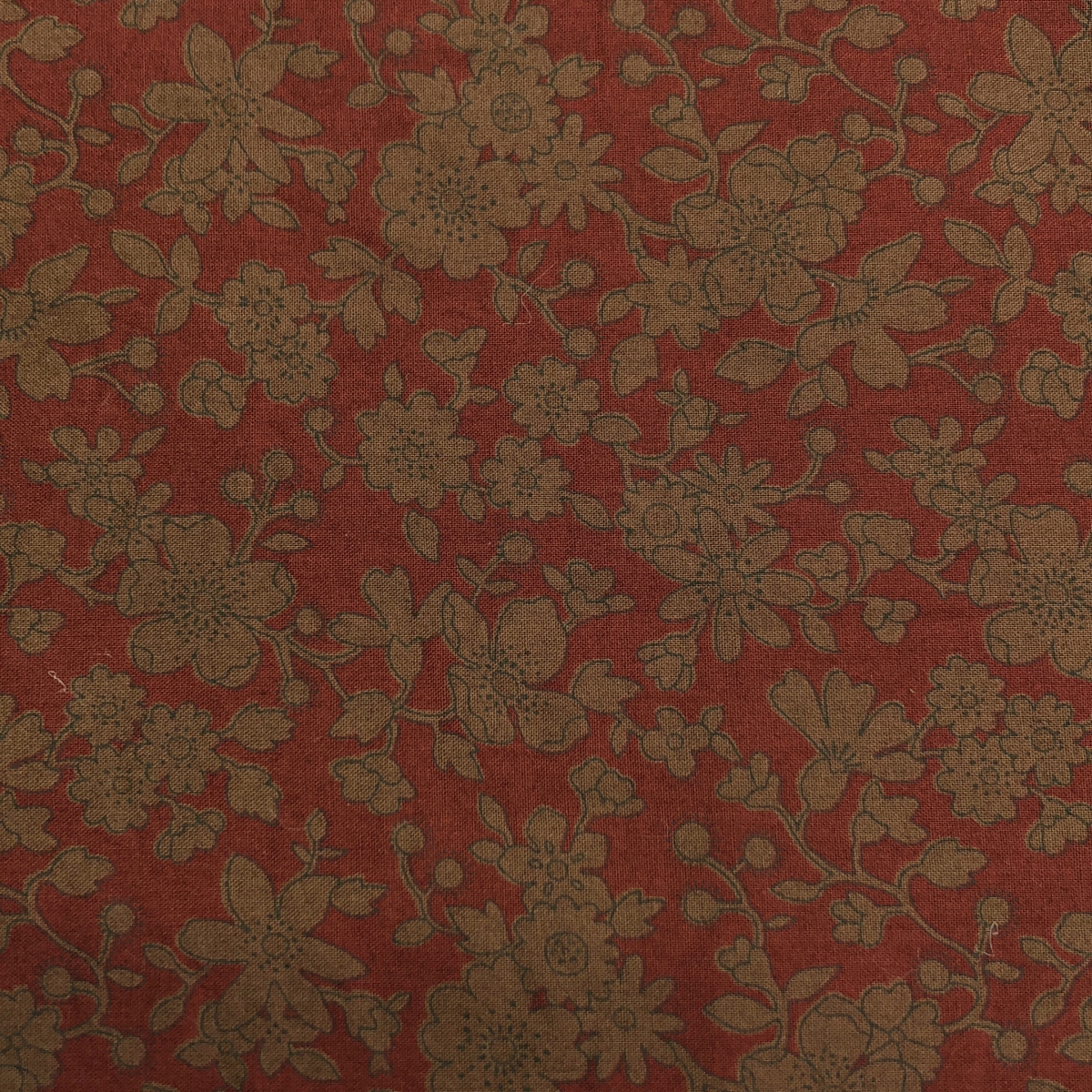 DANIELA GREGIS / ダニエラグレジス コットン 総柄 大判 ストール / ユニセックス