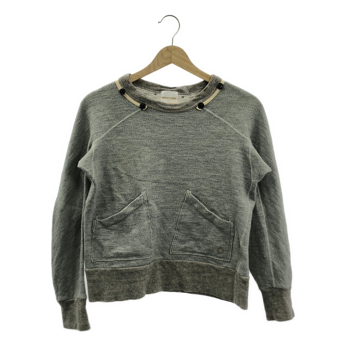 Americana / アメリカーナ セパレートポケット フード付 スウェット