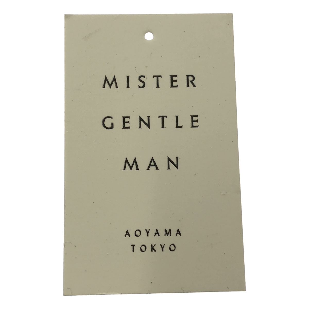 Mr.GENTLEMAN / ミスタージェントルマン DESERT BOOTS デザートブーツ