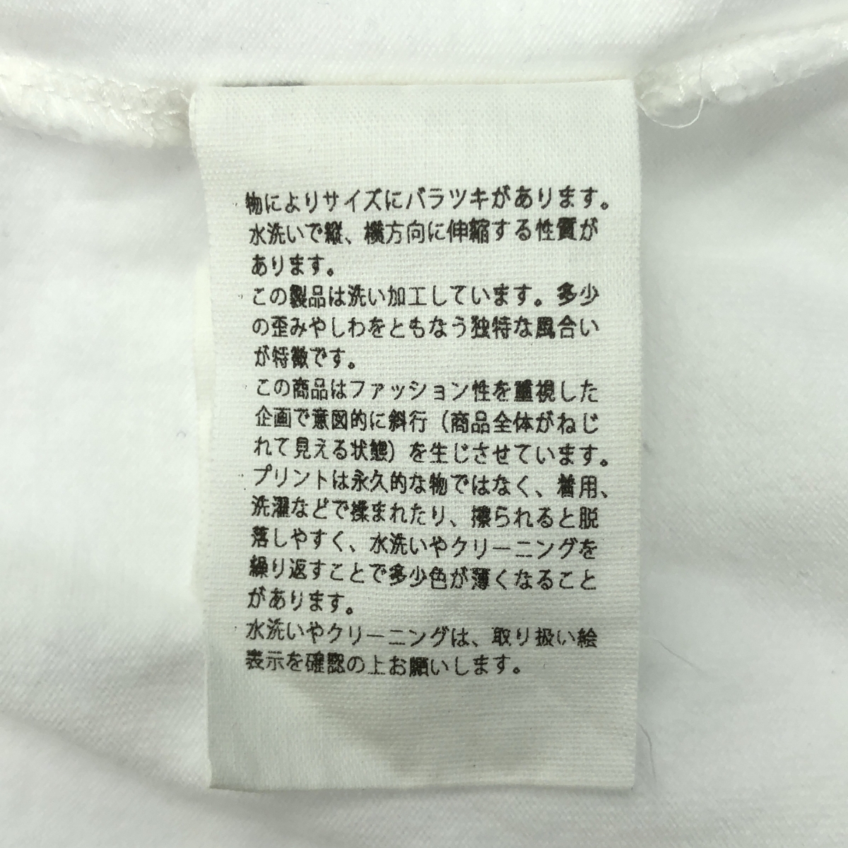 blurhms / ブラームス ARMEE Print Tee WIDE プリント Tシャツ