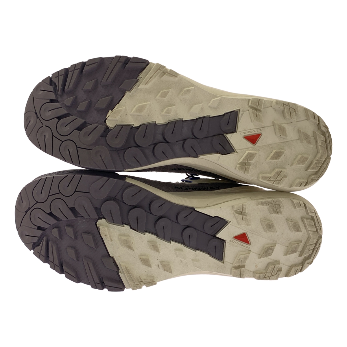 SALOMON / サロモン ADVANCED ALPINWAY ローカット スニーカー